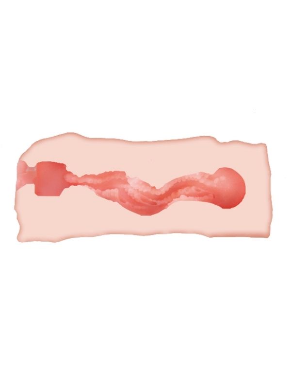  3D Jane Suni Vajina Masturbatör