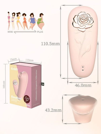 Chisa Kissen Rosebud